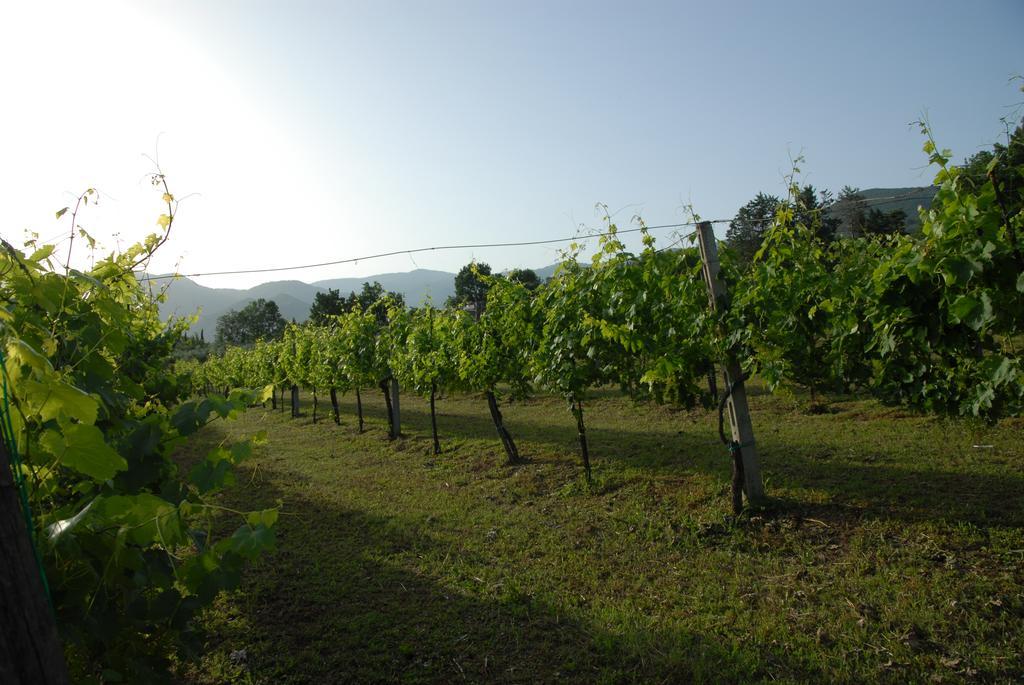 Tenuta Torellone Villa San Potito Sannitico Exterior foto