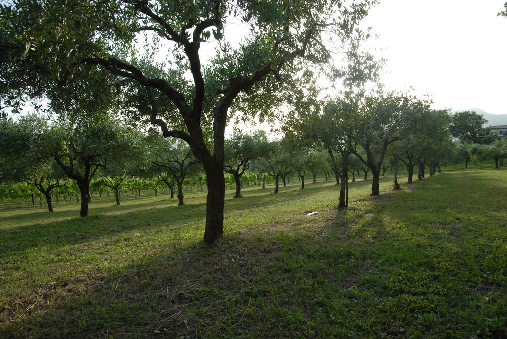 Tenuta Torellone Villa San Potito Sannitico Exterior foto